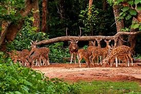Kuldiha Wildlife Sanctuary